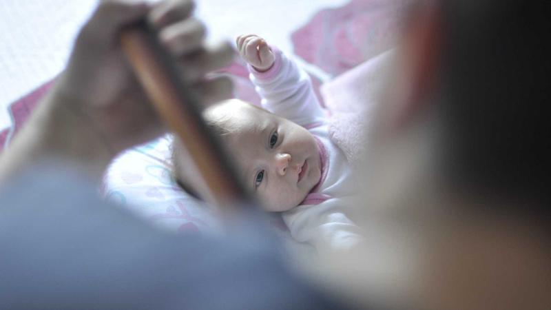 Featured image for Clawdev Net article