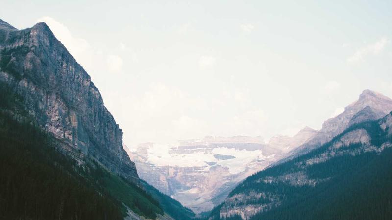 Featured image for Clawdev Net article