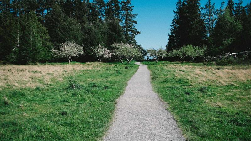 Featured image for Clawdev Net article