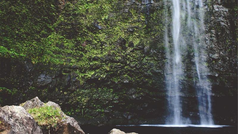 Featured image for Clawdev Net article